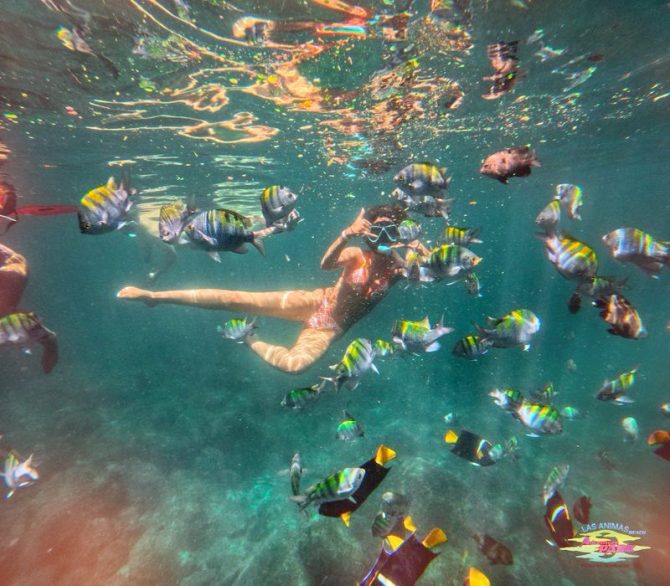 DCIM103GOPROGPES6916.JPG